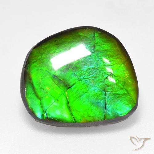 amolita Multicolor natural de 10.59 ct, Elegante, Opaco