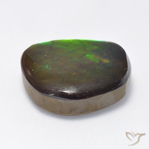 amolita Multicolor natural de 10.59 ct, Elegante, Opaco