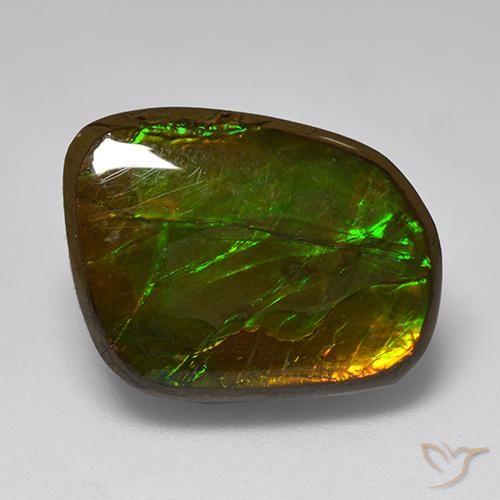 amolita Multicolor natural de 10.83 ct, Elegante, Opaco