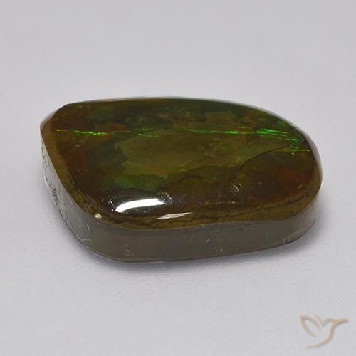 amolita Multicolor natural de 10.83 ct, Elegante, Opaco
