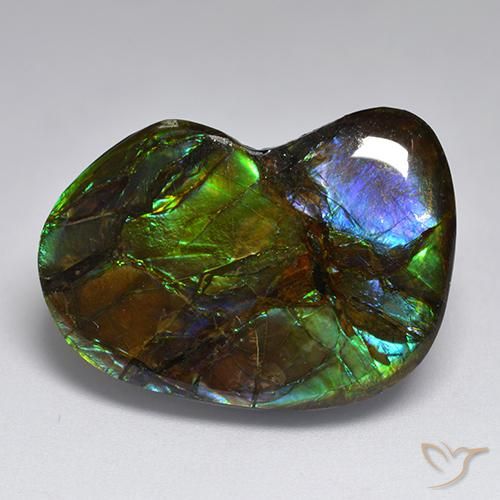 amolita Multicolor natural de 23.10 ct, Elegante, Opaco