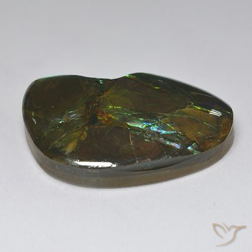 amolita Multicolor natural de 23.10 ct, Elegante, Opaco
