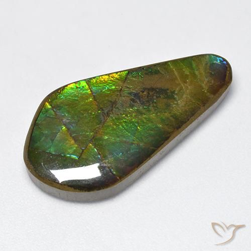 15.47ct Natural Multicolor amolita, Elegante, Opaco
