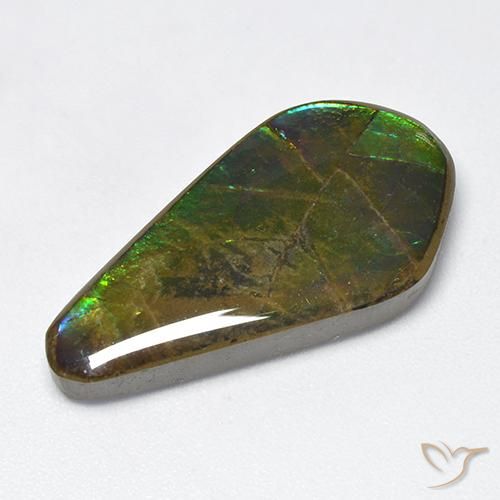 amolita Multicolor natural de 15.47 ct, Elegante, Opaco