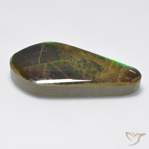 amolita Multicolor natural de 15.47 ct, Elegante, Opaco