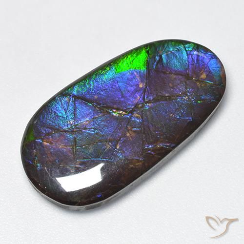 16.63ct Natural Multicolor amolita, Elegante, Opaco
