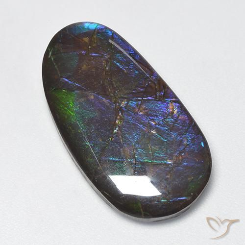 amolita Multicolor natural de 16.63 ct, Elegante, Opaco