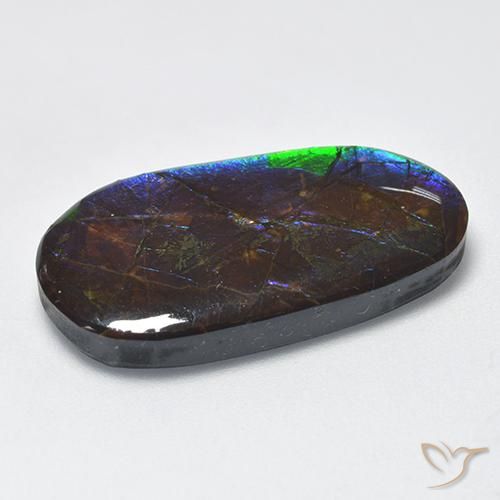 amolita Multicolor natural de 16.63 ct, Elegante, Opaco