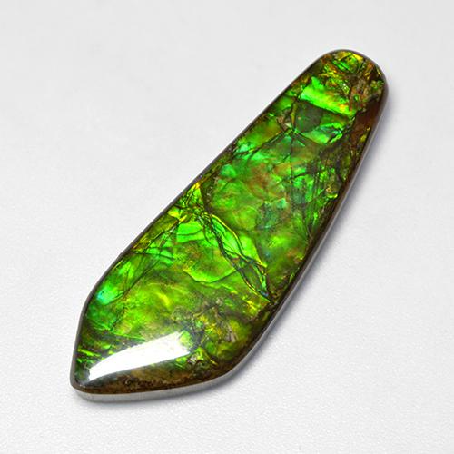 Ammolita multicolor natural de 25,04 ct, forma elegante, opaco