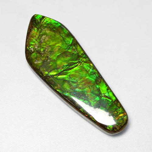 Ammolita multicolor natural de 25,04 ct, forma elegante, opaco