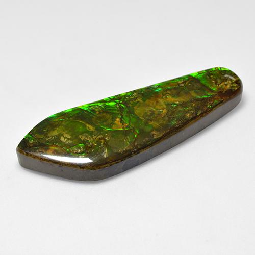 Ammolita multicolor natural de 25,04 ct, forma elegante, opaco