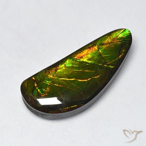 10.60ct Natural Multicolor amolita, Elegante, Opaco