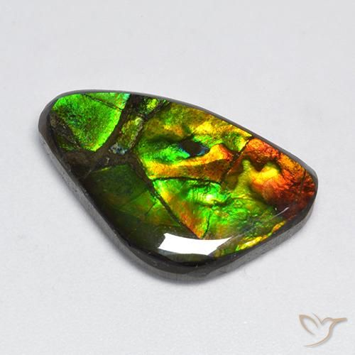 amolita Multicolor natural de 11.50 ct, Elegante, Opaco