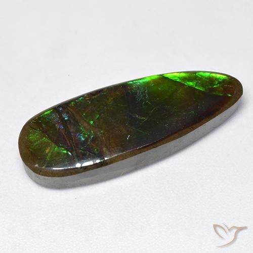 amolita Multicolor natural de 12.78 ct, Elegante, Opaco