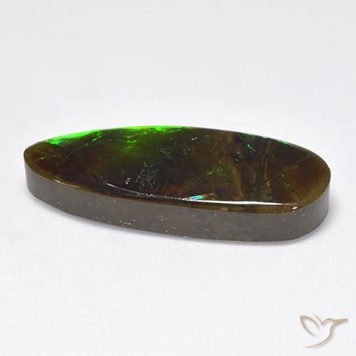 amolita Multicolor natural de 12.78 ct, Elegante, Opaco