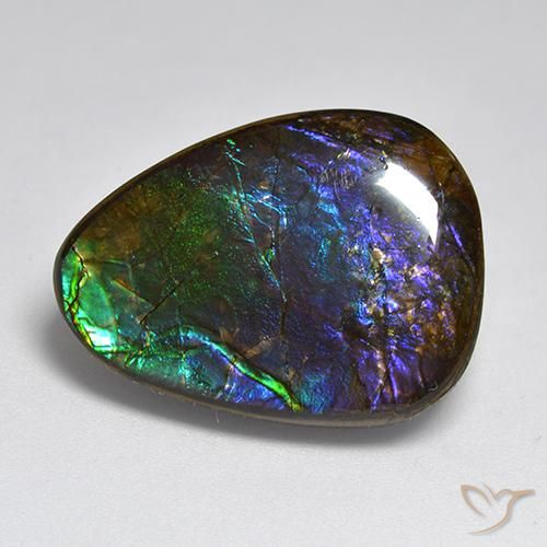 amolita Multicolor natural de 17.96 ct, Elegante, Opaco