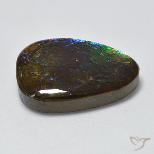 amolita Multicolor natural de 17.96 ct, Elegante, Opaco