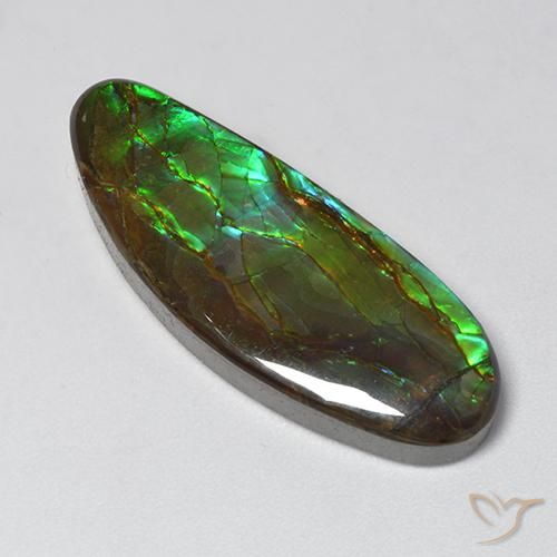 18.94ct Natural Multicolor amolita, Elegante, Opaco