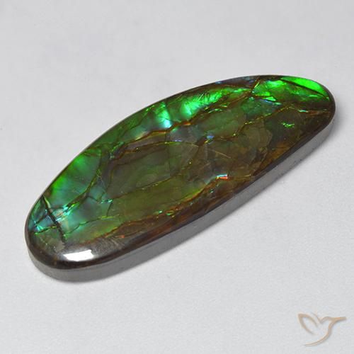 amolita Multicolor natural de 18.94 ct, Elegante, Opaco