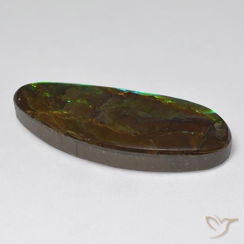 amolita Multicolor natural de 18.94 ct, Elegante, Opaco
