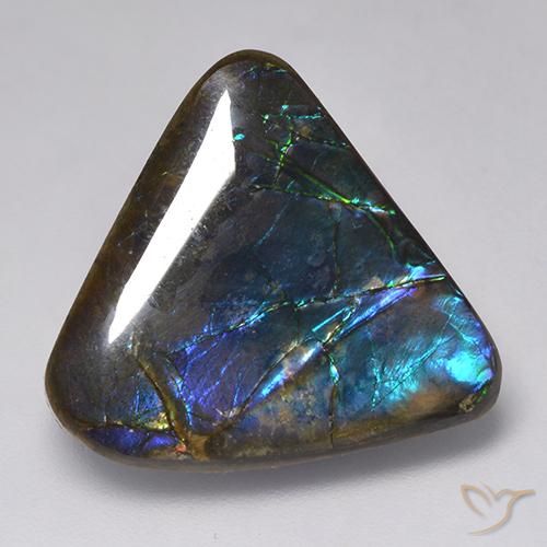 amolita Multicolor natural de 15.09 ct, Elegante, Opaco