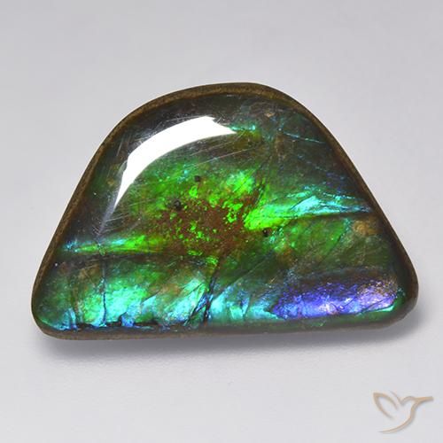 15.86ct Natural Multicolor amolita, Elegante, Opaco