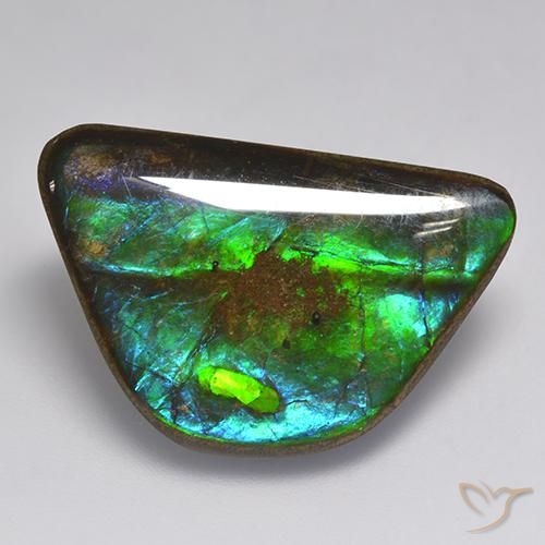 amolita Multicolor natural de 15.86 ct, Elegante, Opaco