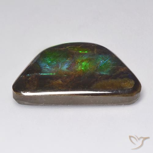 amolita Multicolor natural de 15.86 ct, Elegante, Opaco