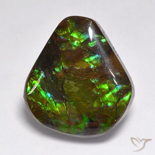 amolita Multicolor natural de 15.50 ct, Elegante, Opaco
