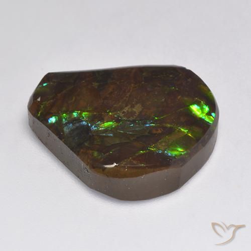 amolita Multicolor natural de 15.50 ct, Elegante, Opaco