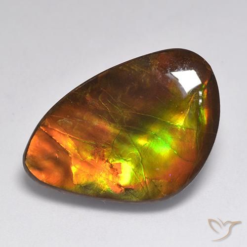 amolita Multicolor natural de 20.30 ct, Elegante, Opaco