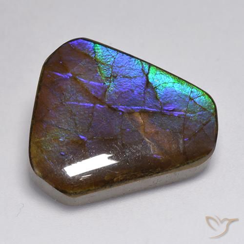 amolita Multicolor natural de 13.95 ct, Elegante, Opaco
