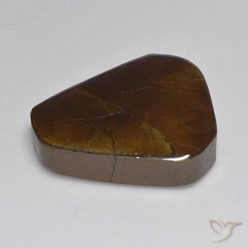 amolita Multicolor natural de 13.95 ct, Elegante, Opaco