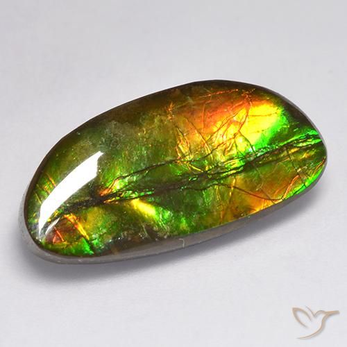11.62ct Natural Multicolor amolita, Elegante, Opaco