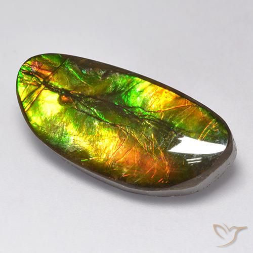 amolita Multicolor natural de 11.62 ct, Elegante, Opaco