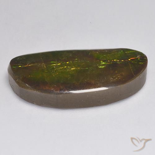 amolita Multicolor natural de 11.62 ct, Elegante, Opaco