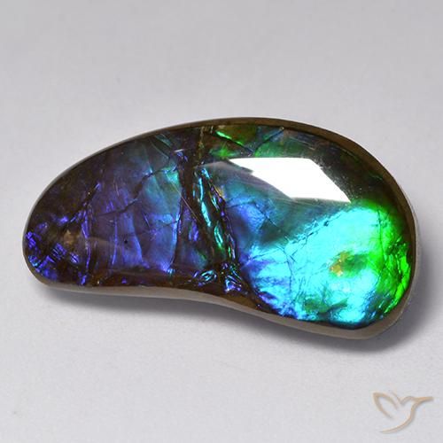amolita Multicolor natural de 14.55 ct, Elegante, Opaco
