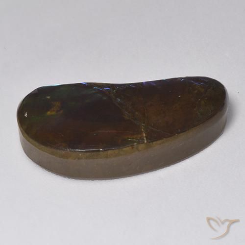 amolita Multicolor natural de 14.55 ct, Elegante, Opaco