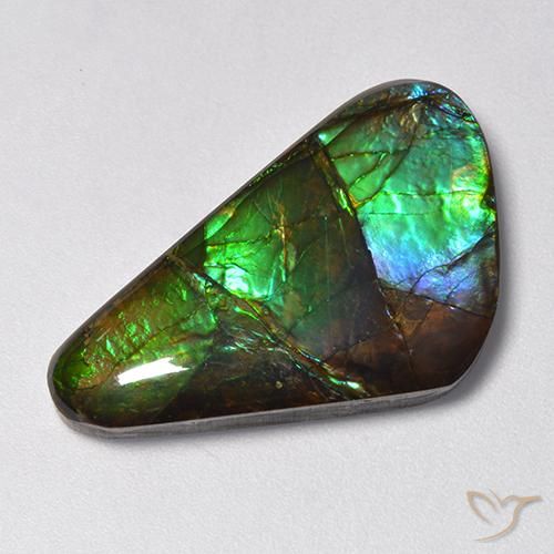 13.85ct Natural Multicolor amolita, Elegante, Opaco