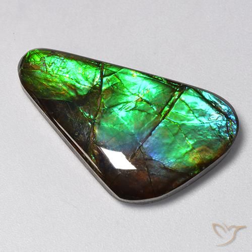 amolita Multicolor natural de 13.85 ct, Elegante, Opaco