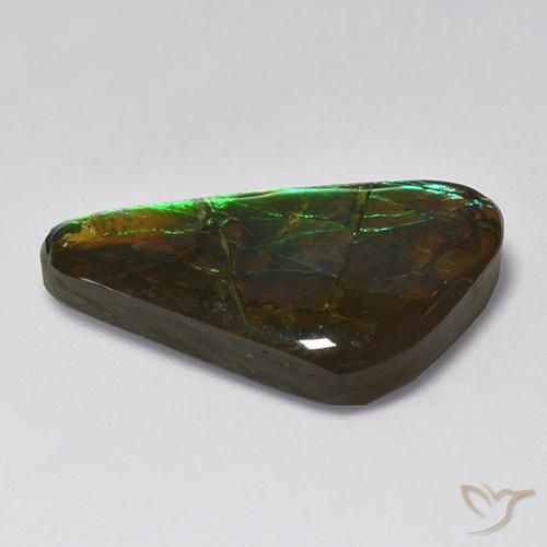 amolita Multicolor natural de 13.85 ct, Elegante, Opaco