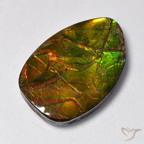 11.13ct Natural Multicolor amolita, Elegante, Opaco