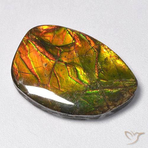 amolita Multicolor natural de 11.13 ct, Elegante, Opaco