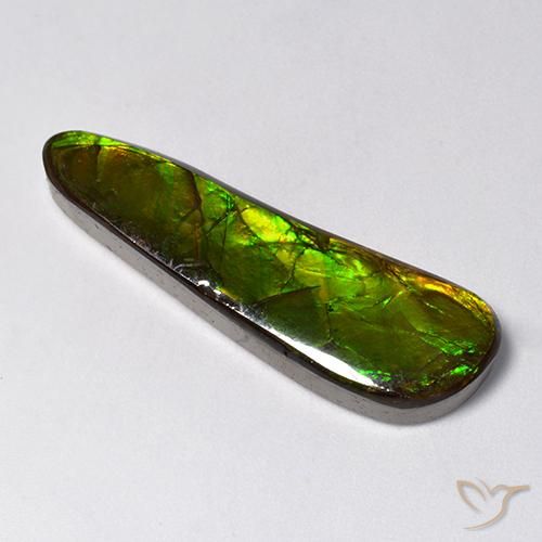 amolita Multicolor natural de 14.88 ct, Elegante, Opaco