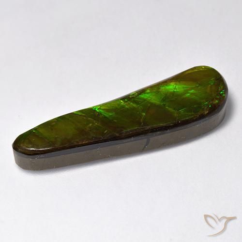 amolita Multicolor natural de 14.88 ct, Elegante, Opaco