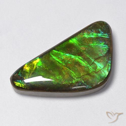 13.28ct Natural Multicolor amolita, Elegante, Opaco