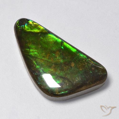 amolita Multicolor natural de 13.28 ct, Elegante, Opaco