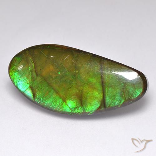 amolita Multicolor natural de 15.77 ct, Elegante, Opaco