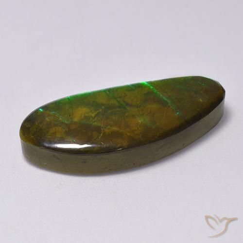 amolita Multicolor natural de 15.77 ct, Elegante, Opaco