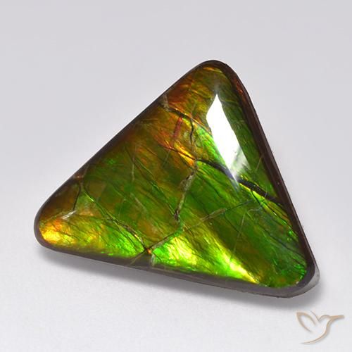 amolita Multicolor natural de 14.54 ct, Trillón, Opaco